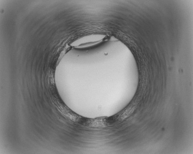 X0000071840384200607290114