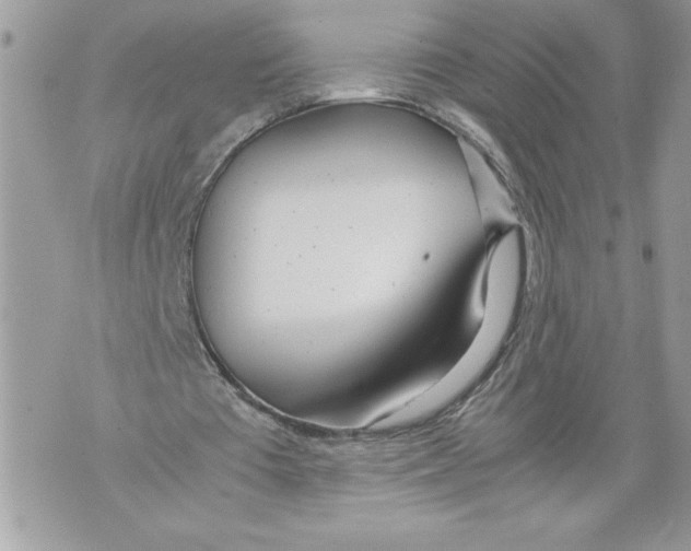 X0000071840385200607290113