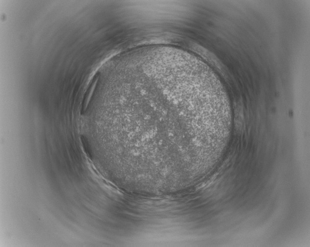 X0000071840386200607290113