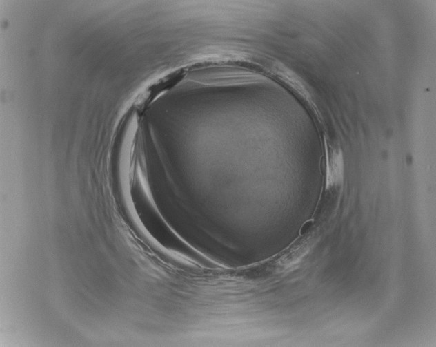 X0000071840387200607290113