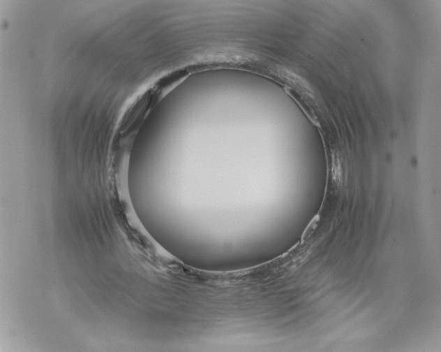 X0000071840388200607290113