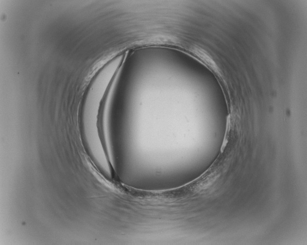 X0000071840389200607290113