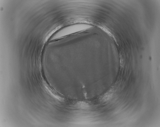 X0000071840390200607290113