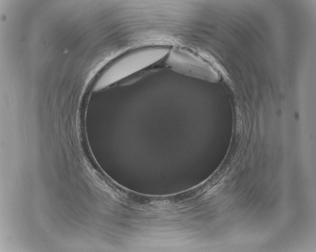 X0000071840391200607290113