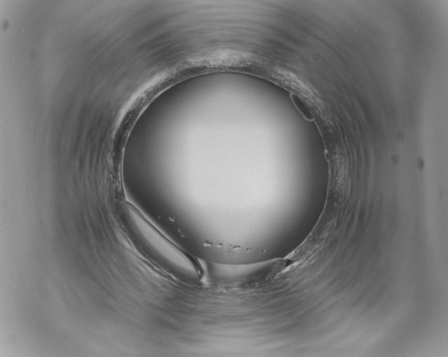 X0000071840392200607290113