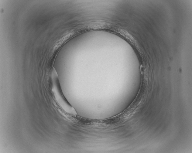 X0000071840393200607290113