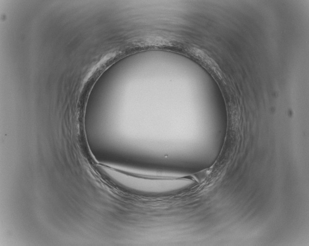 X0000071840395200607290113