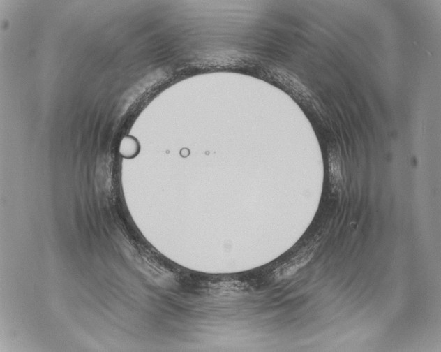 X0000071840396200607290113