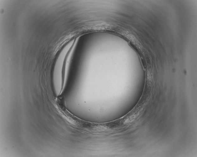 X0000071840397200607290113