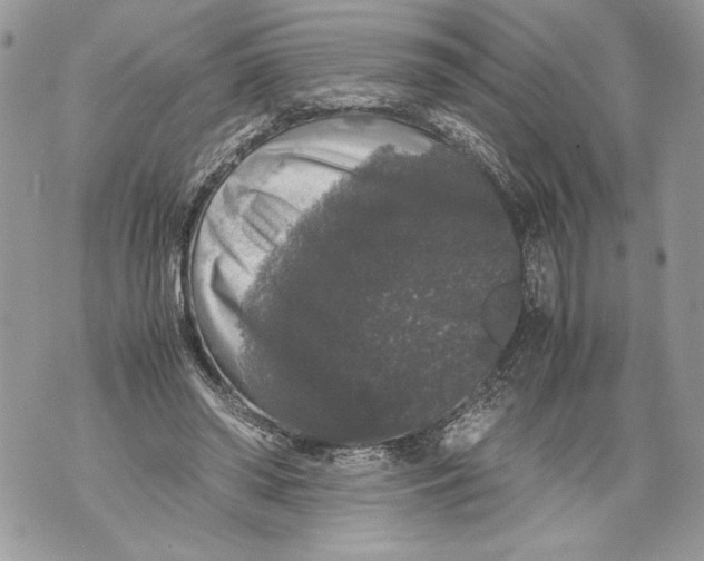 X0000071840398200607290113