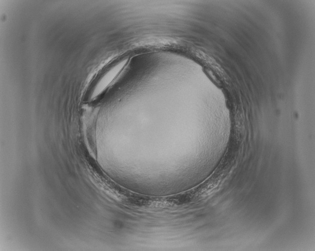 X0000071840399200607290113