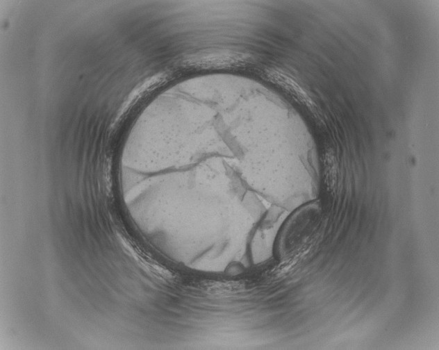 X0000071840400200607290113