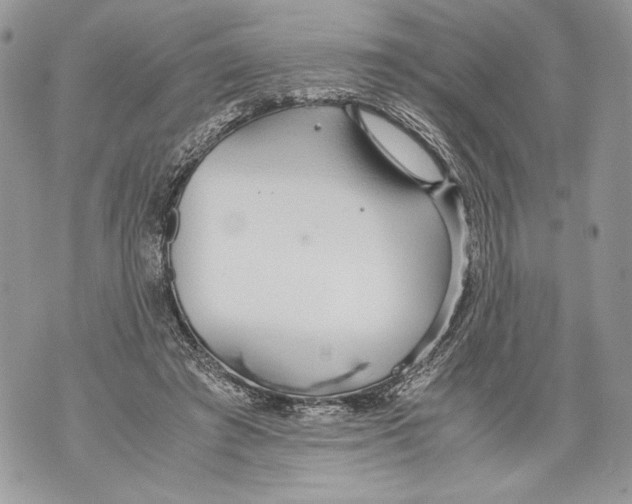 X0000071840401200607290113