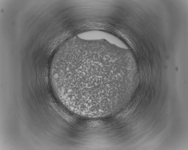 X0000071840402200607290112