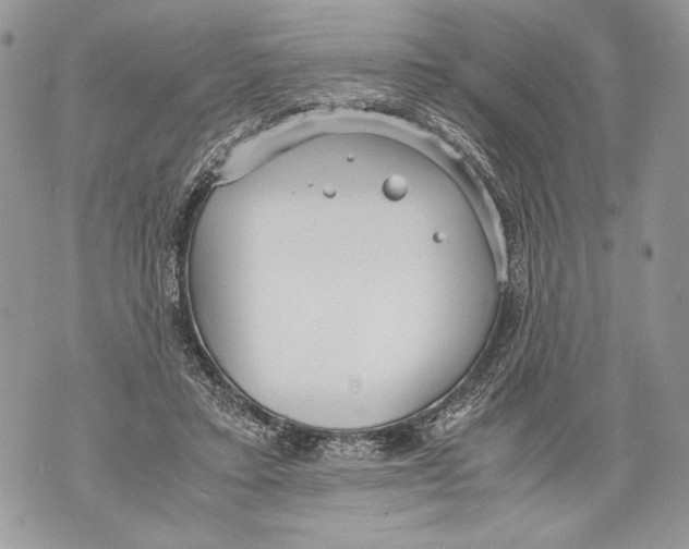 X0000071840403200607290112