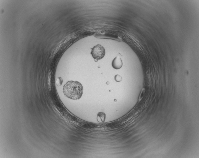 X0000071840404200607290112