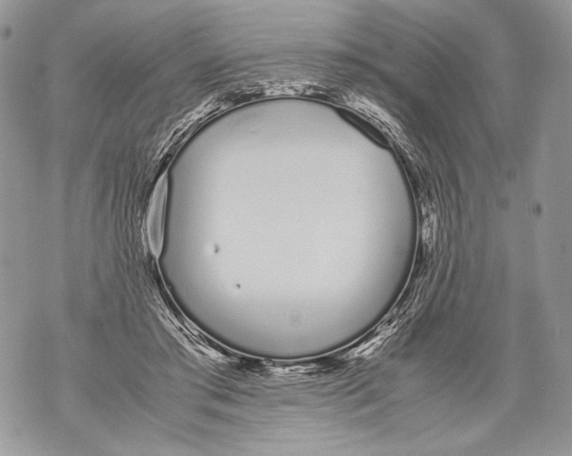 X0000071840405200607290112