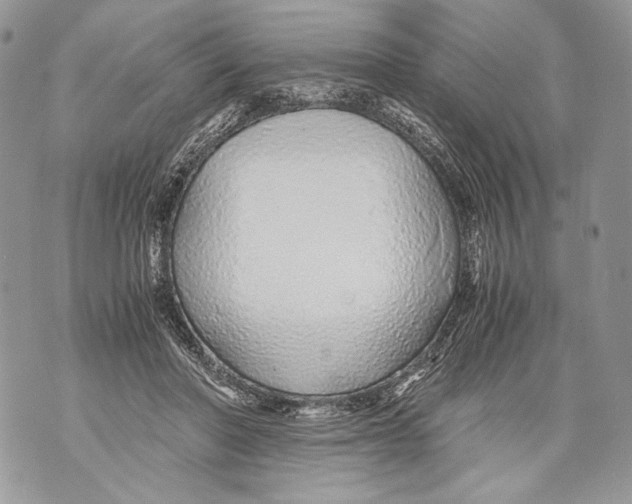 X0000071840406200607290112