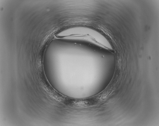 X0000071840407200607290112