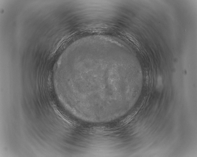 X0000071840408200607290112