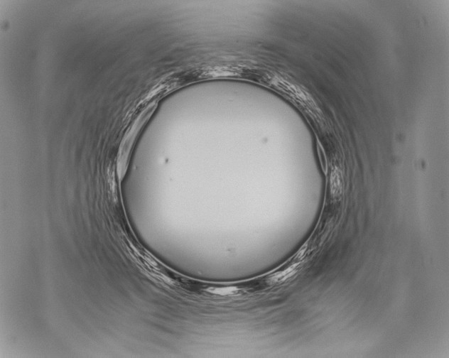 X0000071840409200607290112