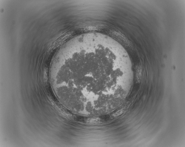 X0000071840410200607290112