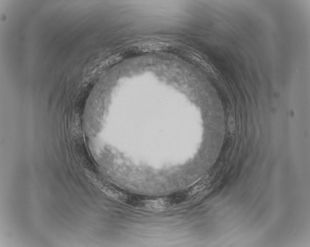 X0000071840411200607290112