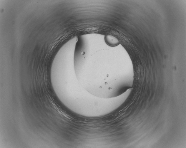 X0000071840412200607290112