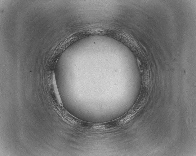 X0000071840413200607290112