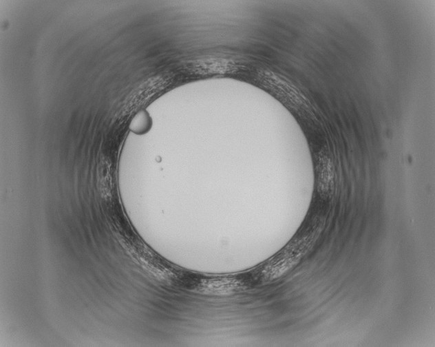 X0000071840414200607290112