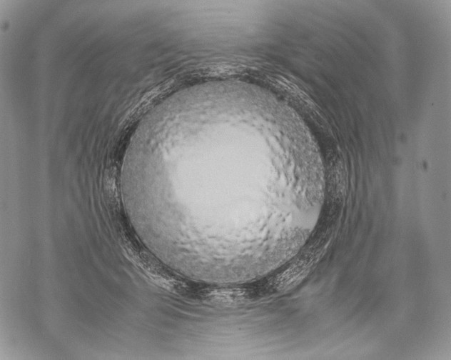 X0000071840415200607290112