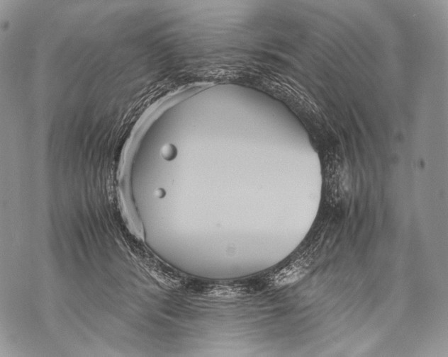 X0000071840416200607290112