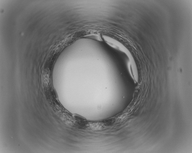 X0000071840417200607290112