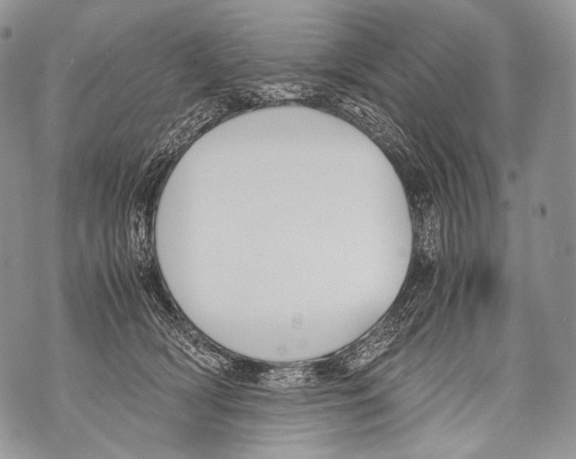 X0000071840418200607290112