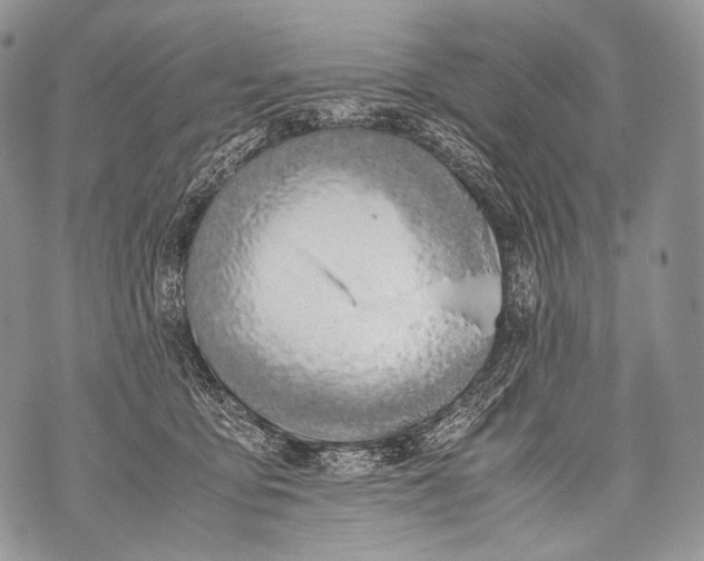 X0000071840419200607290112