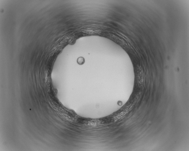 X0000071840420200607290112