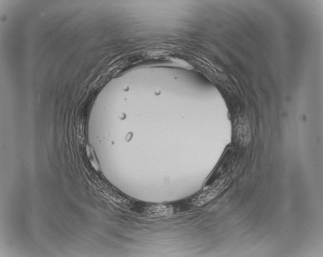 X0000071840421200607290112