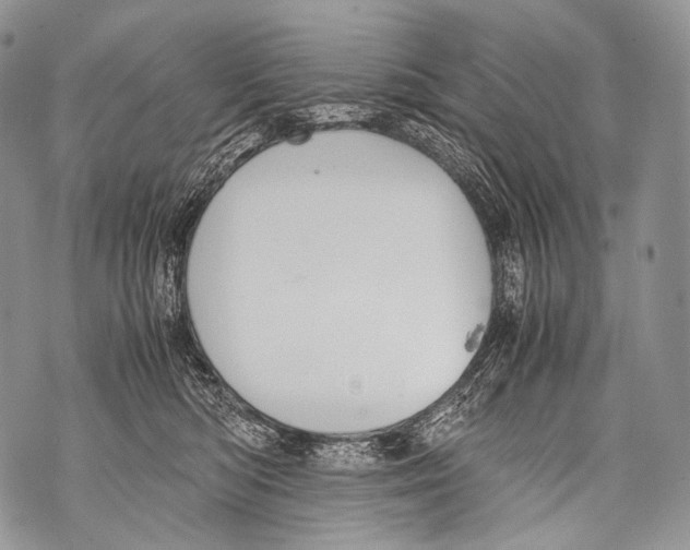 X0000071840422200607290112