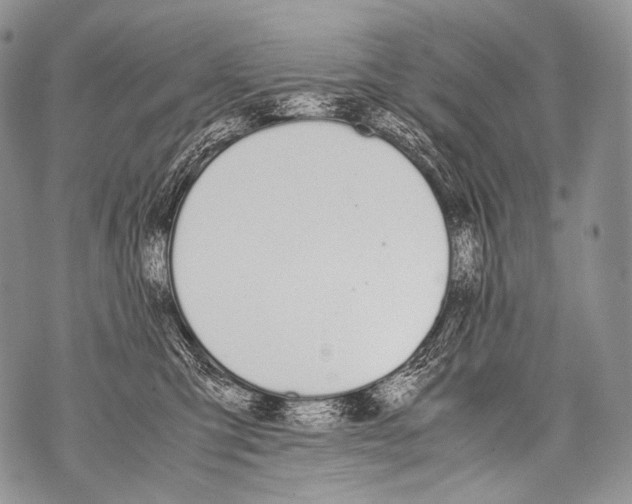 X0000071840423200607290112