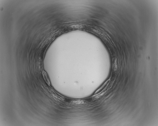 X0000071840424200607290112