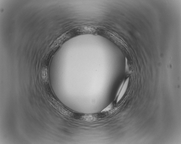 X0000071840425200607290112