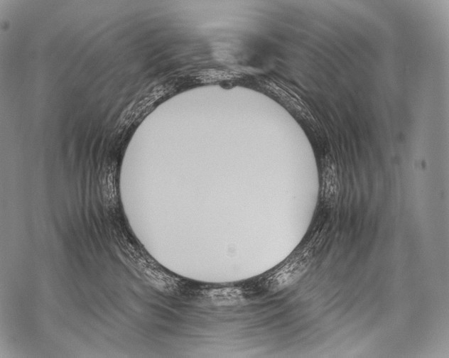 X0000071840426200607290112