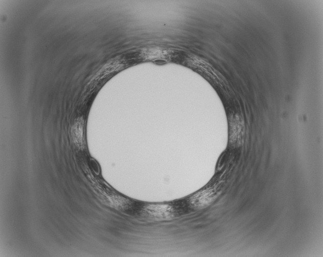 X0000071840427200607290112