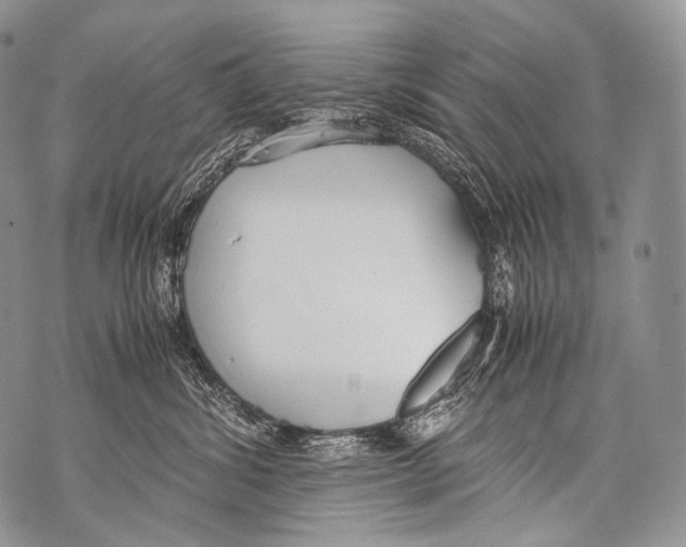 X0000071840428200607290112