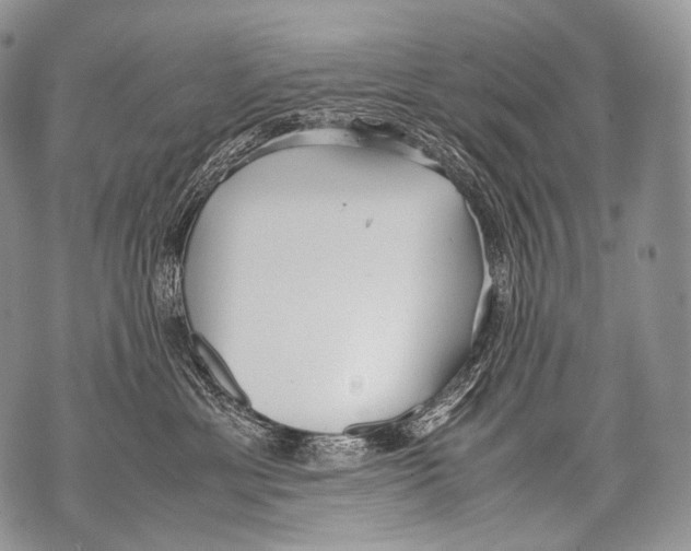 X0000071840429200607290112