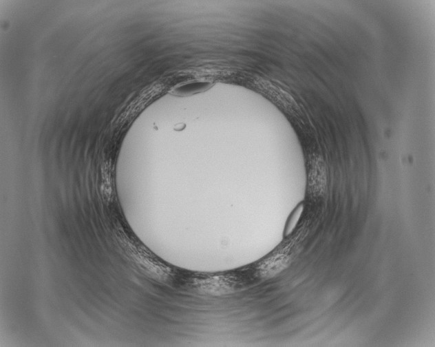 X0000071840430200607290112