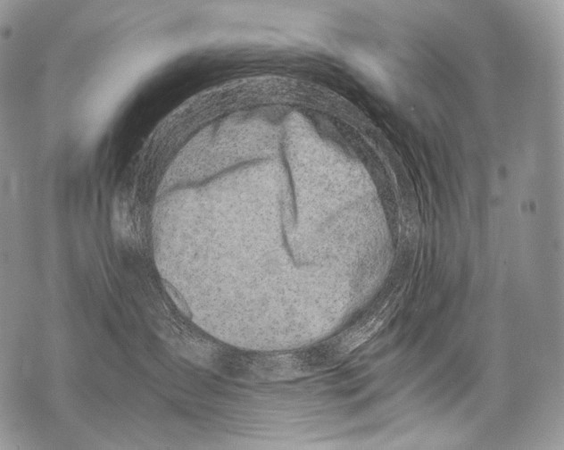 X0000071840431200607290112