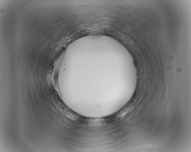 X0000071840432200607290112