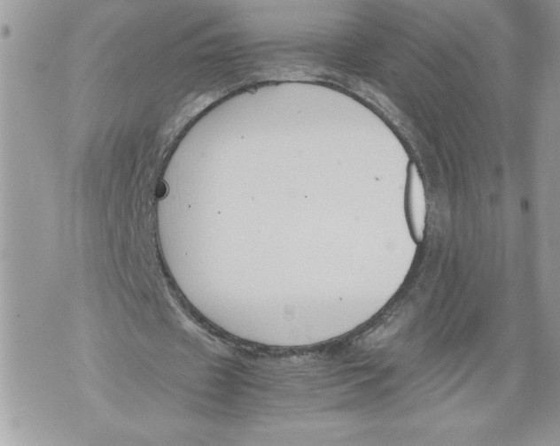 X0000071840433200607290111