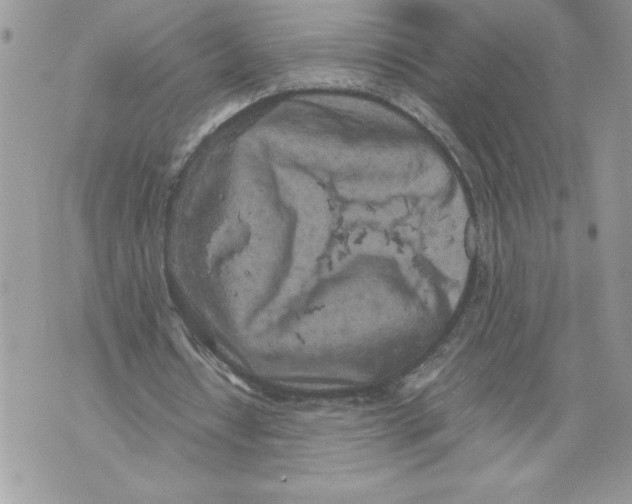 X0000071840434200607290111